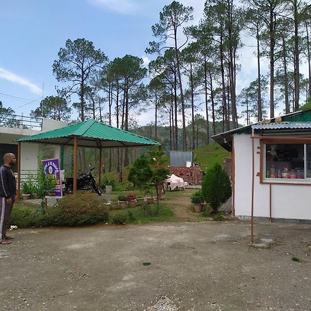 The Green Pine Cottage ランズドーン エクステリア 写真