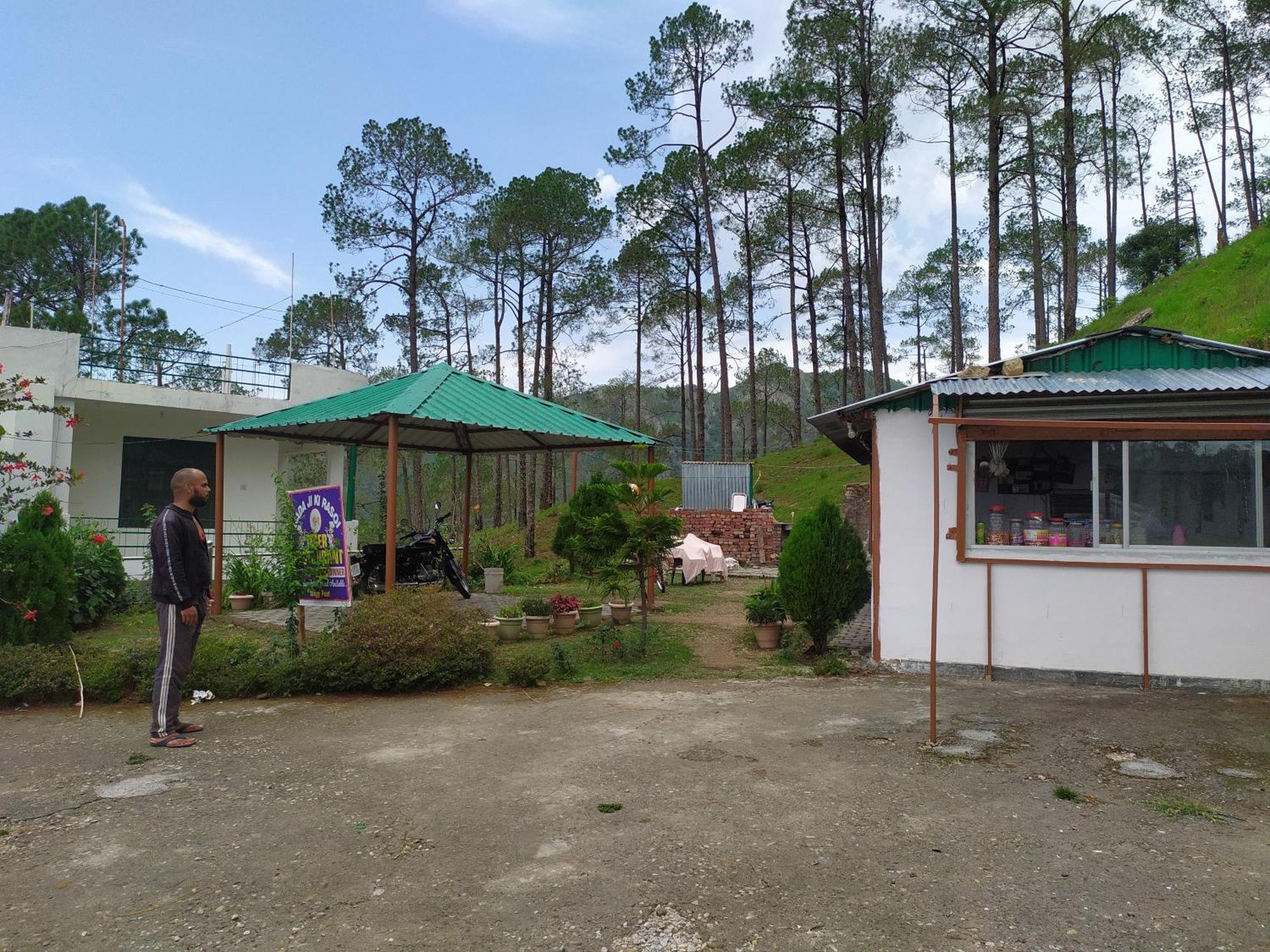 The Green Pine Cottage ランズドーン エクステリア 写真