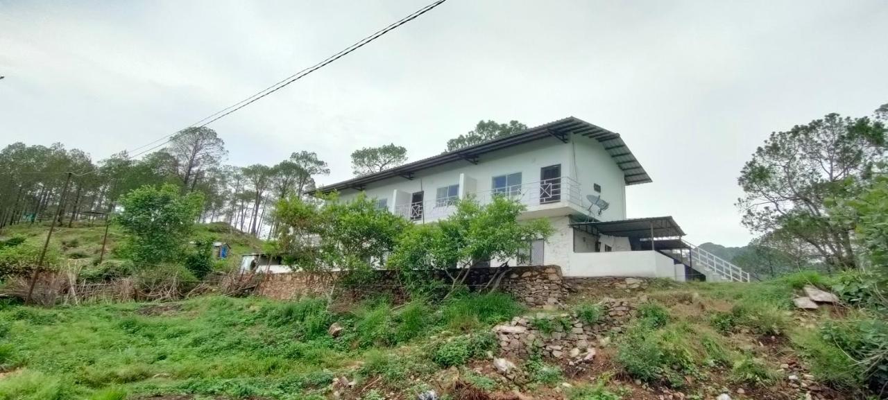 The Green Pine Cottage ランズドーン エクステリア 写真