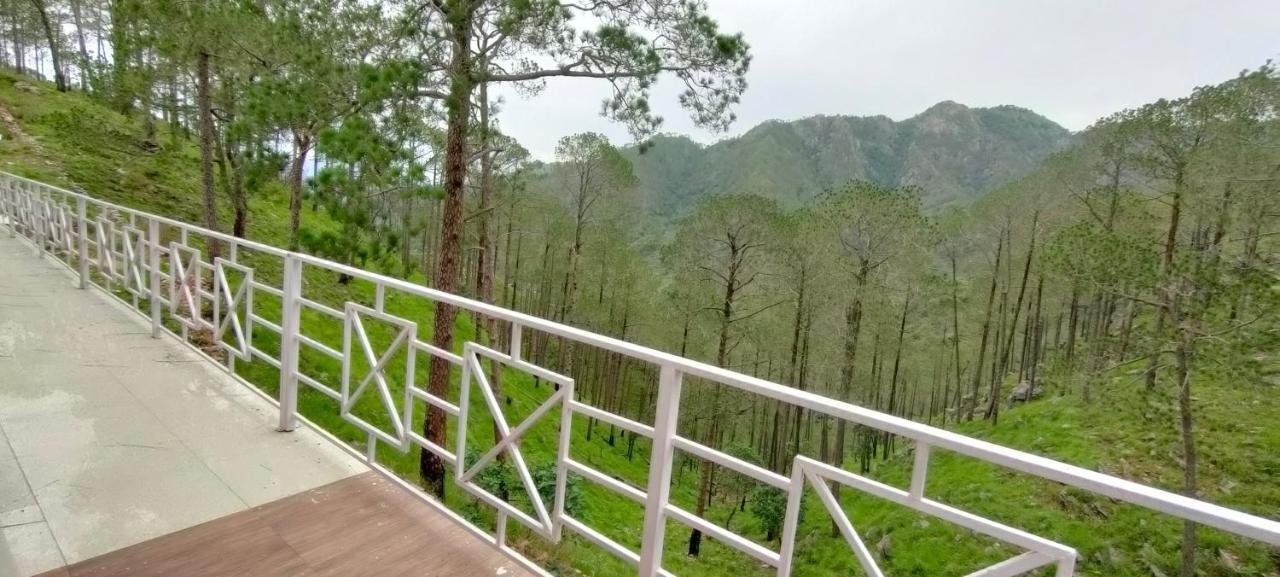 The Green Pine Cottage ランズドーン エクステリア 写真