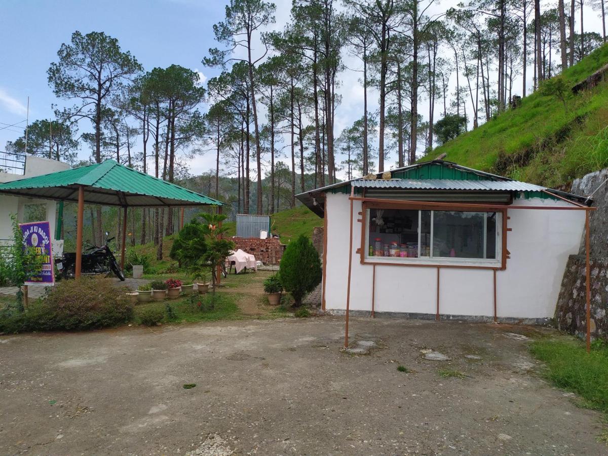 The Green Pine Cottage ランズドーン エクステリア 写真